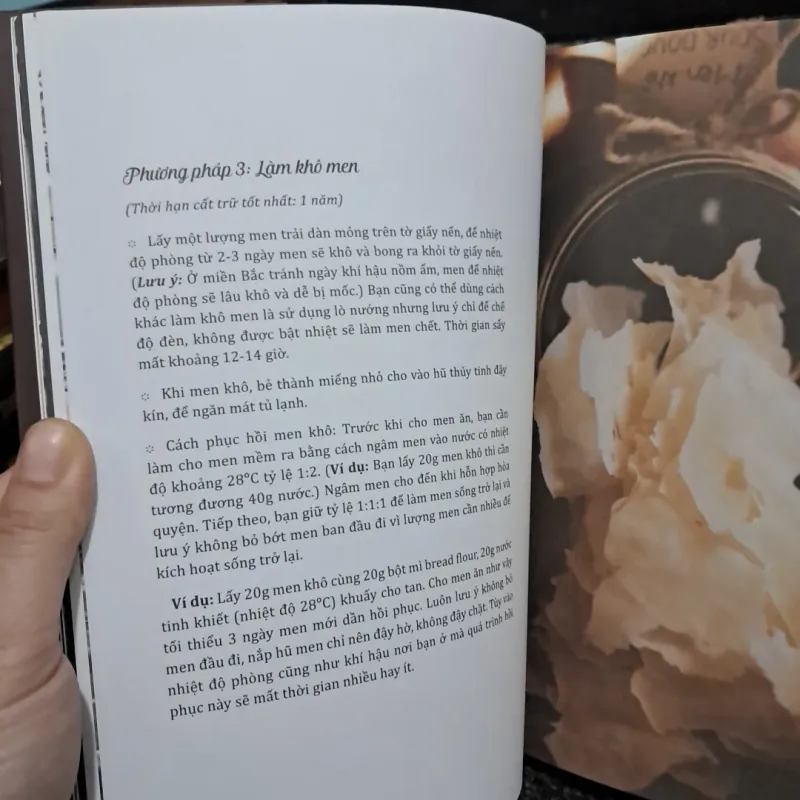 Sourdough Bread 1002818