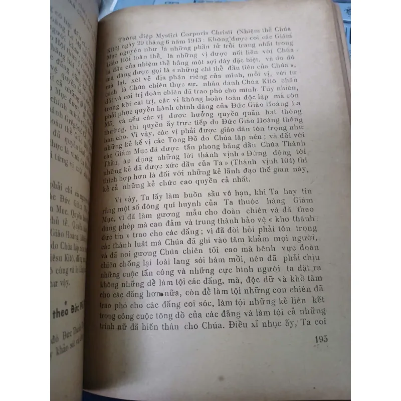 HỘI THÁNH CÔNG GIÁO - TÂM NGỌC 936571