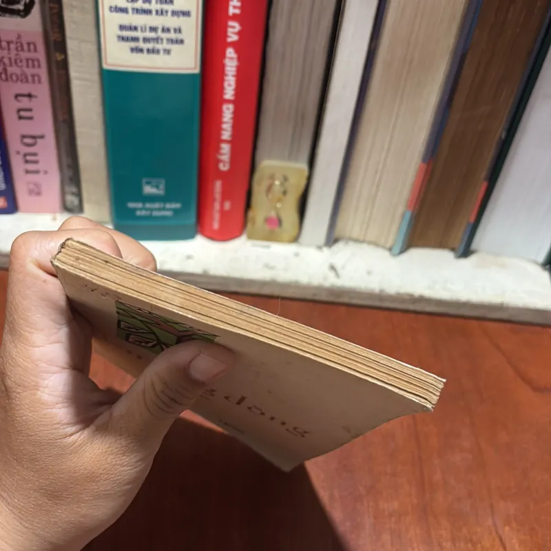 II Thơ: Hương Đồng - Ngô Hoàng Anh, Mai Anh, Mai Thanh Chương, Đồng Bằng - 1981 796471