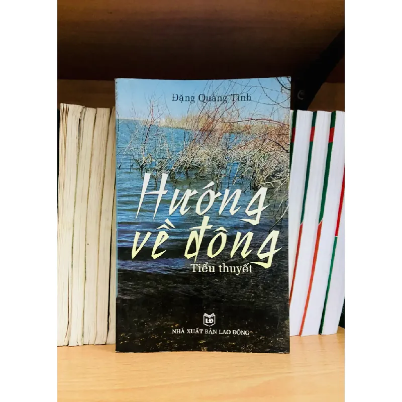Hướng về đông - Đặng Quang Tình 554823