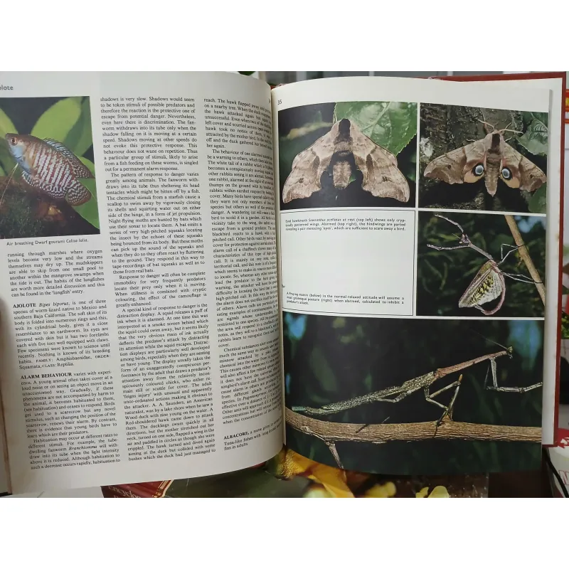ENCYCLOPEDIA OF THE ANIMAL WORLD - BÁCH KHOA TOÀN THƯ VỀ THẾ GIỚI ĐỘNG VẬT (21 TẬP) 575435