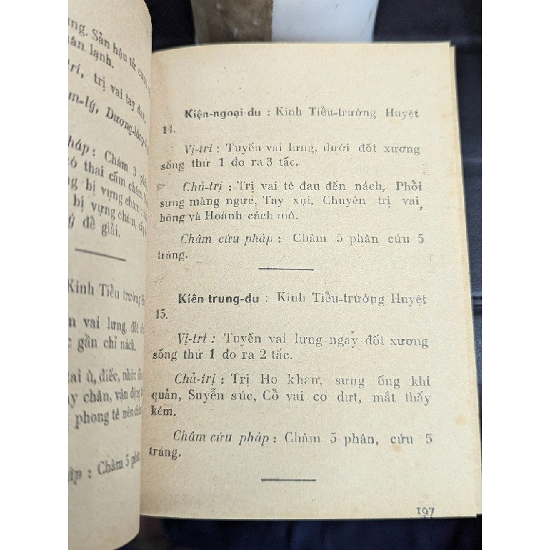 TIỂU TỪ ĐIỂN CHÂM CỨU KINH HUYỆT & BIỆT HUYỆT - THƯỢNG TRÚC 193506
