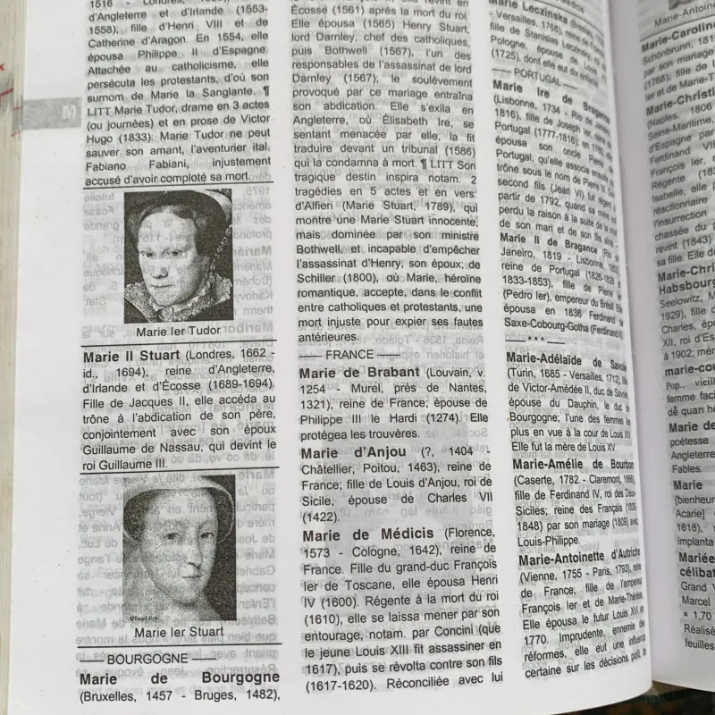 Từ điển Pháp-Pháp-Việt, 350 ngàn mục từ, Lê Phương Thanh  1026818