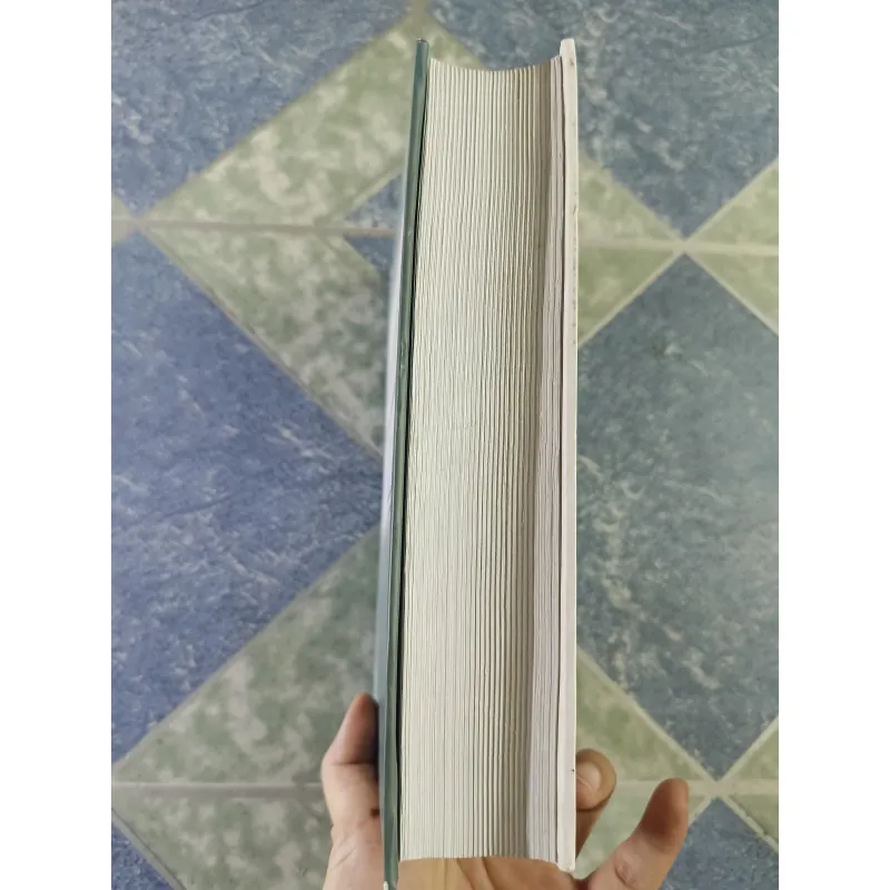 Hệ thống tòa án của một số nước trên thế giới - Trương Hòa Bình & Ngô Cường 712525