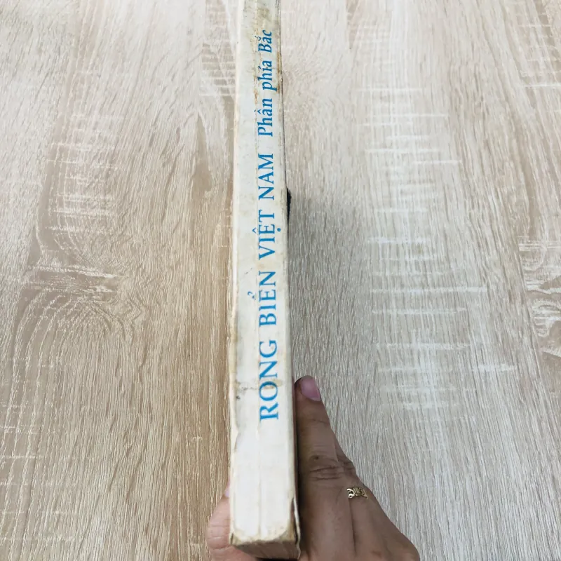 RONG BIỂN VIỆT NAM ( Phần phía Bắc) 956975