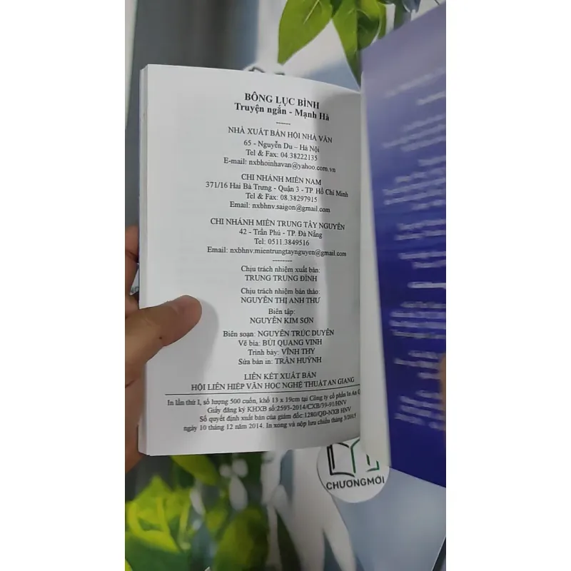 Bông Lục Bình - Mạnh Hà 798483