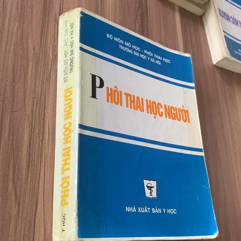 Phôi thai học Người  673859