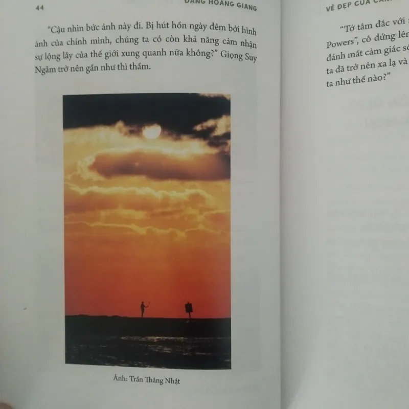 Vẻ đẹp của cảnh sắc tầm thường - cũ ( bìa cứng)- Đặng Hoàng Giang 1007163