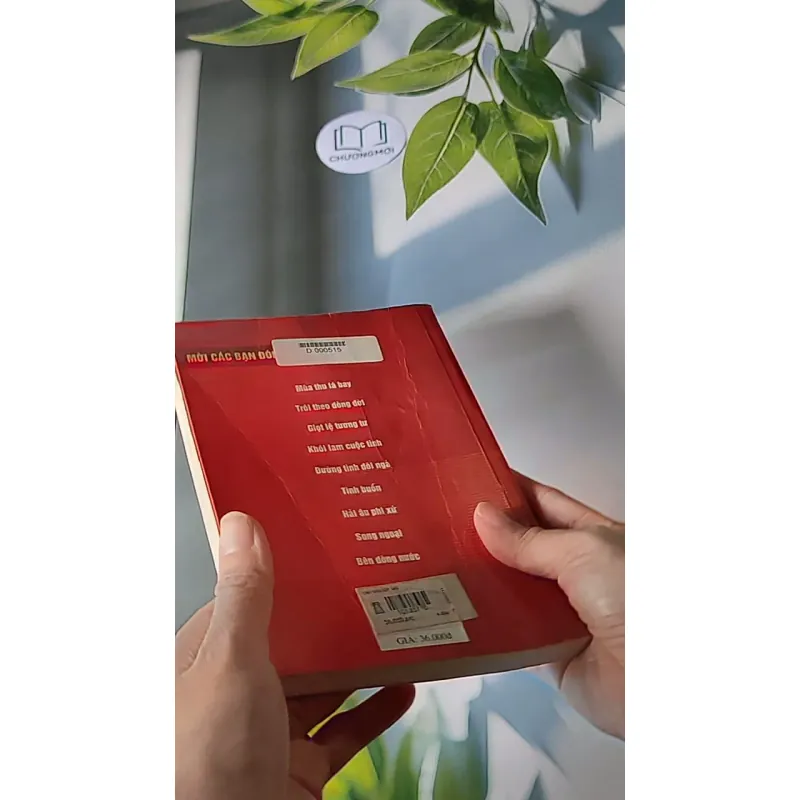 Tình vẫn đẹp sao - Quỳnh Dao 607697