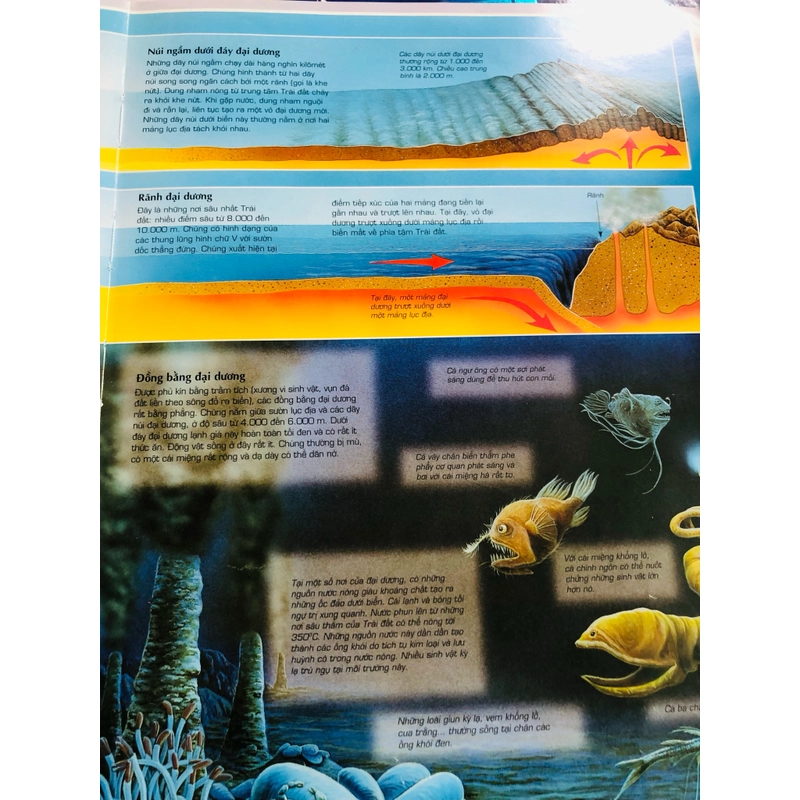 📚 BỘ 3 CUỐN ATLAS: TỰ NHIÊN – ĐẠI DƯƠNG – VẼ CÁC QUỐC GIA 🌍🌊🗺️ 479461