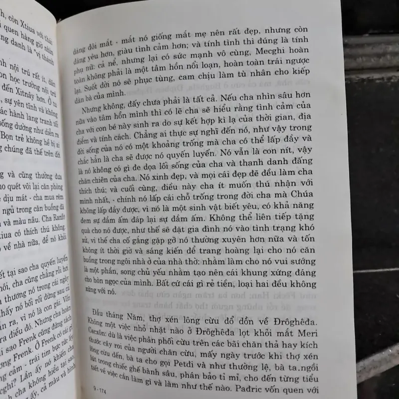 Tiếng chim hót trong  1000602