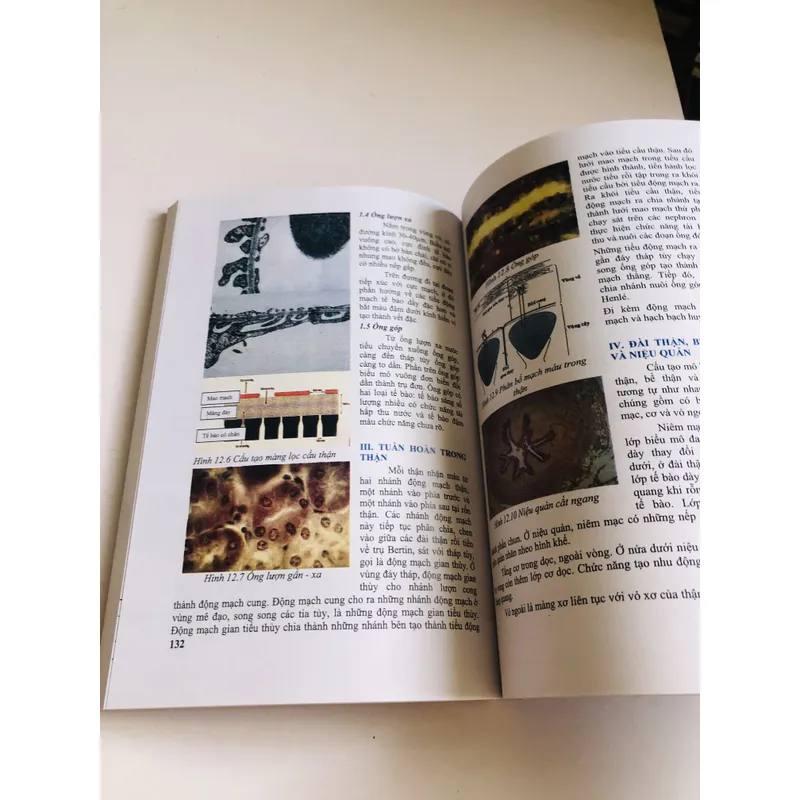 MÔ HỌC  2020 701980