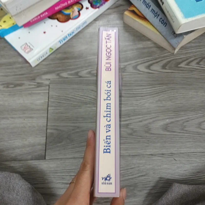 Biển Và Chim Bói Cá -  Bùi Ngọc Tấn 646783