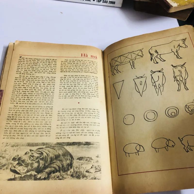 VẠN VẬT HỌC BAN GIÁO SƯ ALPHA - lớp 6 752713