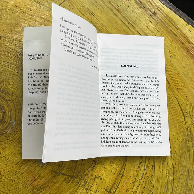 ĐẠI VIỆT LƯỢC TRUYỆN- NGUYỄN NGỌC TUỆ MINH 689641