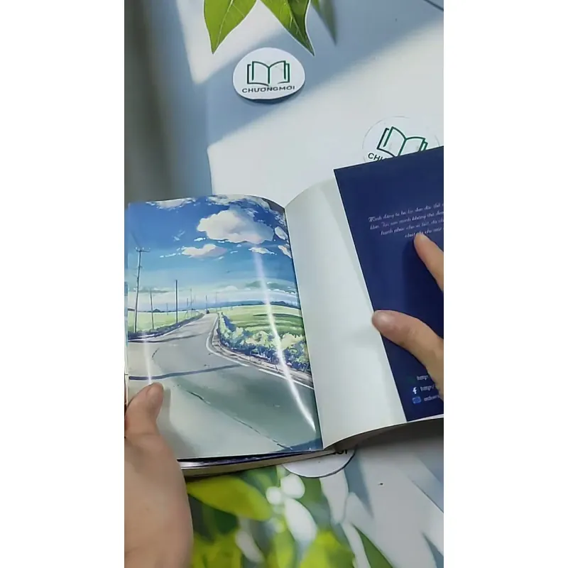 5 Centimet Trên Giây 703136