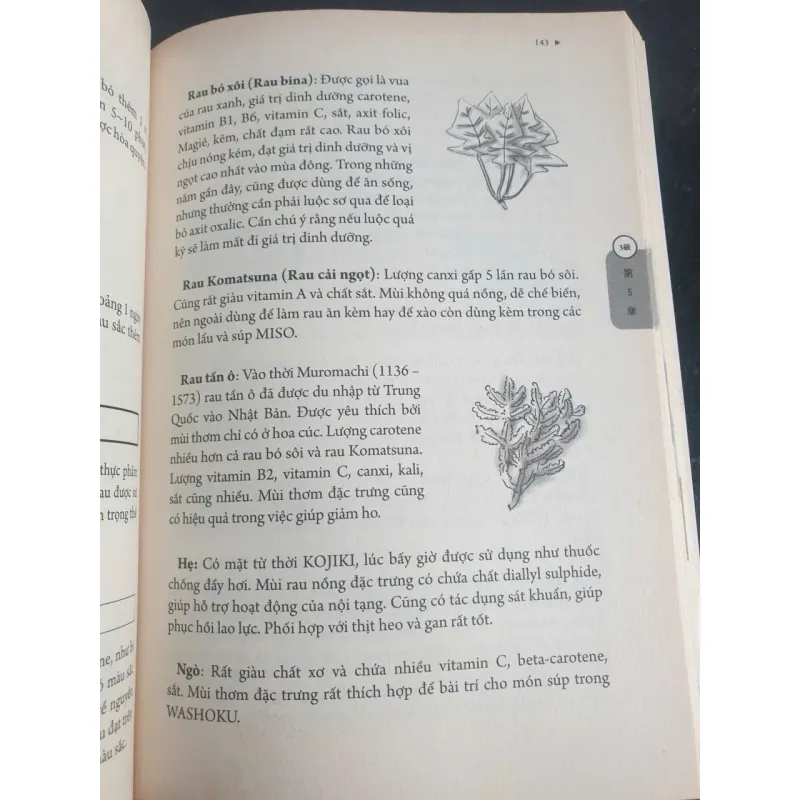 Chuyên Gia Bếp Nhật WASHOKU 747636