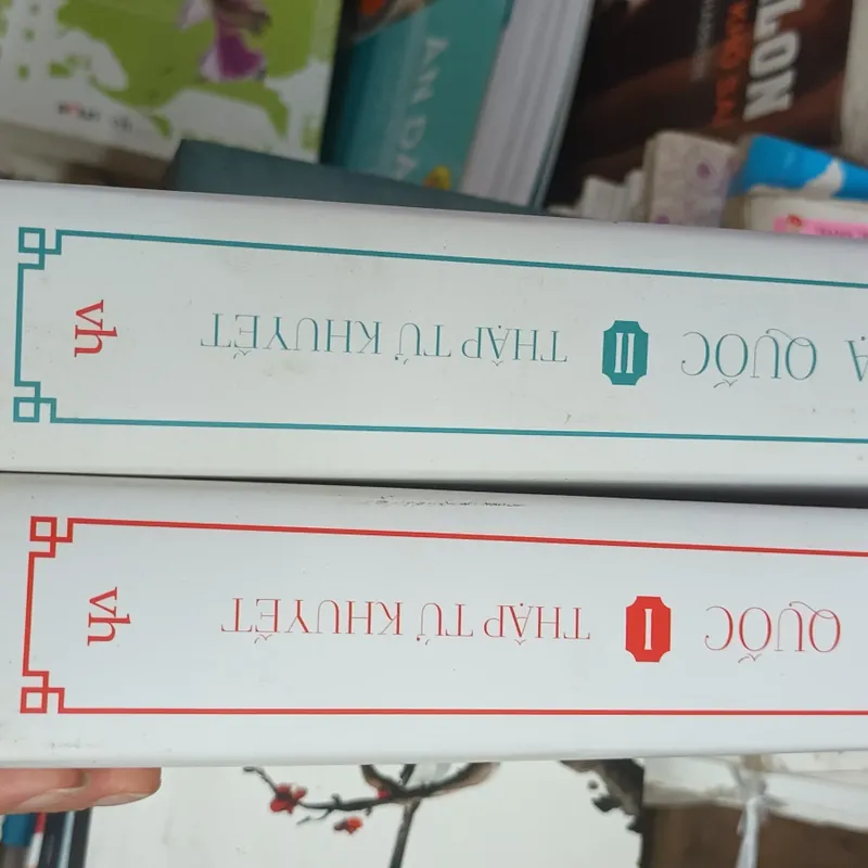 Họa Quốc 2 tập - Thập Tứ Khuyết 576037