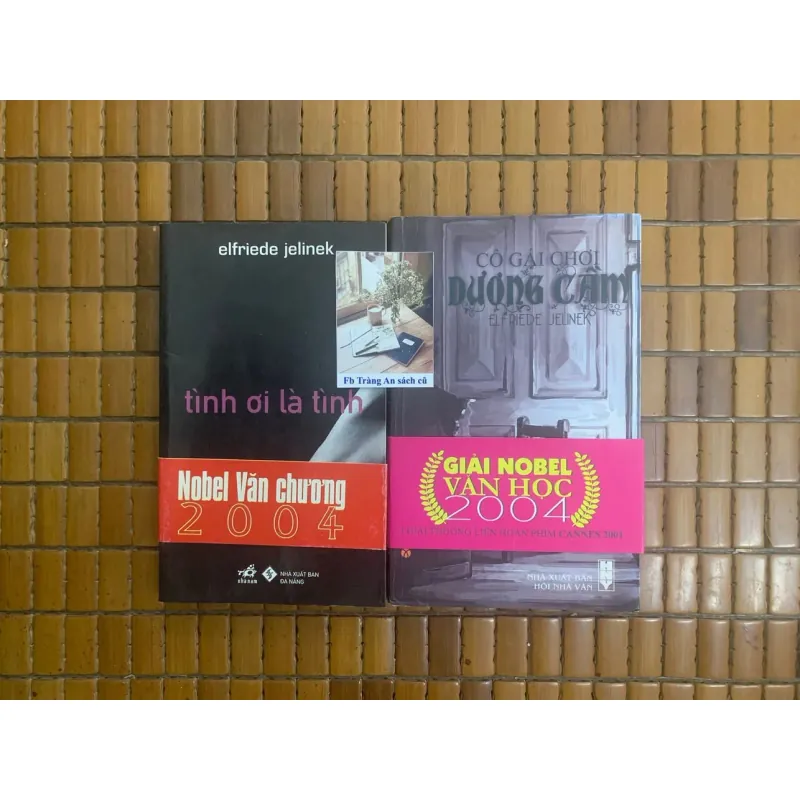 Cô gái chơi dương cầm, Tình ơi là tình - Elfriede Jelinek 455800