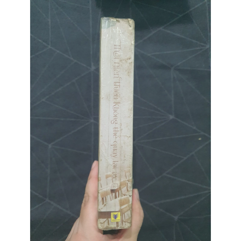"Thời niên thiếu không thể quay lại ấy" (tập 2) - Đồng Hoa 538938