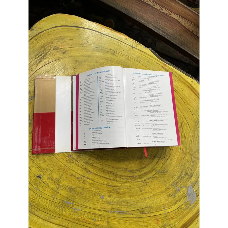 TỪ ĐIỂN ANH - VIỆT - VIỆT ANH- BAN BIÊN SOẠN CHUYÊN TỪ ĐIỂN NEW ERA 603684