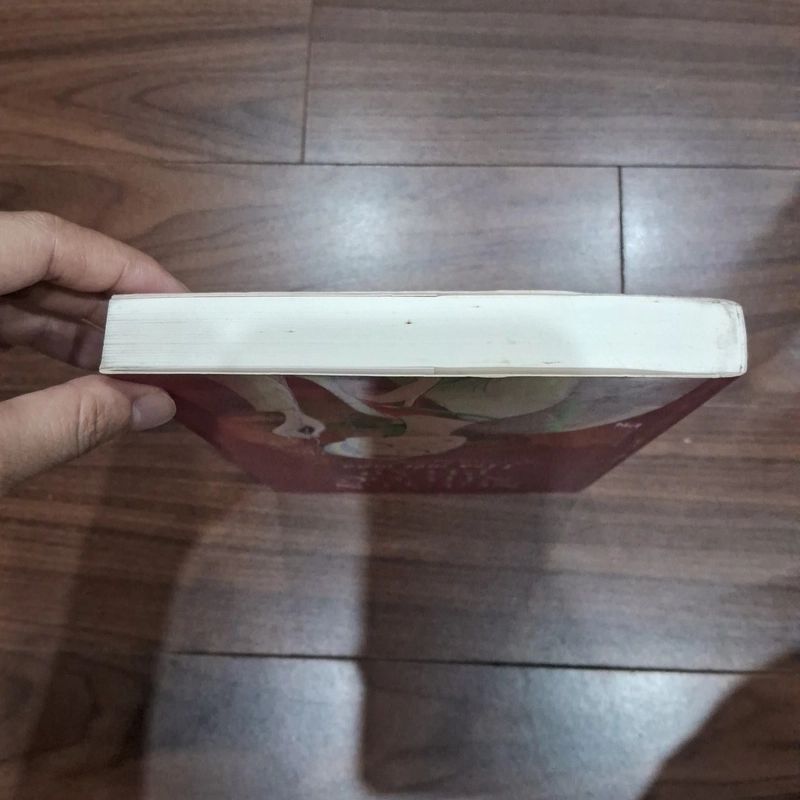 Hoa một mùa - nguyễn nhược pháp 516472