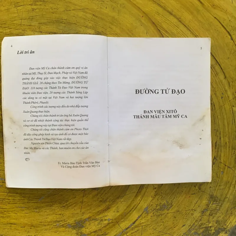 ĐƯỜNG TỬ ĐẠO - nhà xuất bản tôn giáo 2011 1029337