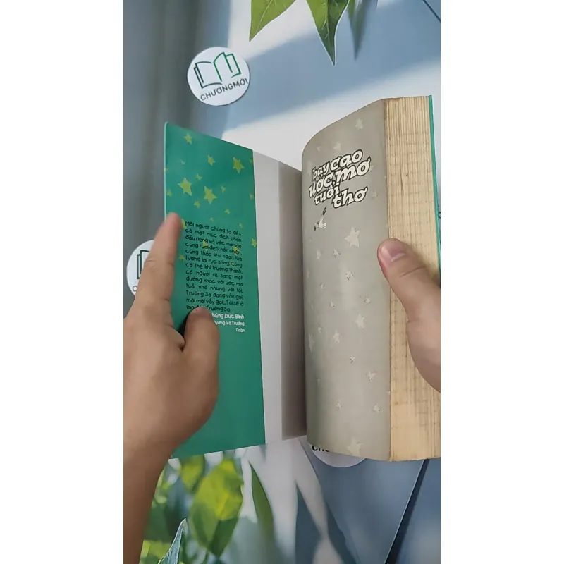 Bay Cao Ước Mơ Tuổi Thơ 798289