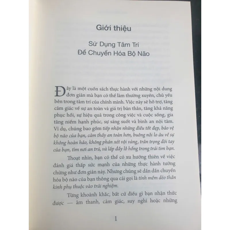 Tích Tiểu Thành Đại - Nuôi Dưỡng Bộ Não Phật Qua 52 Thực Hành Đơn Giản 712422
