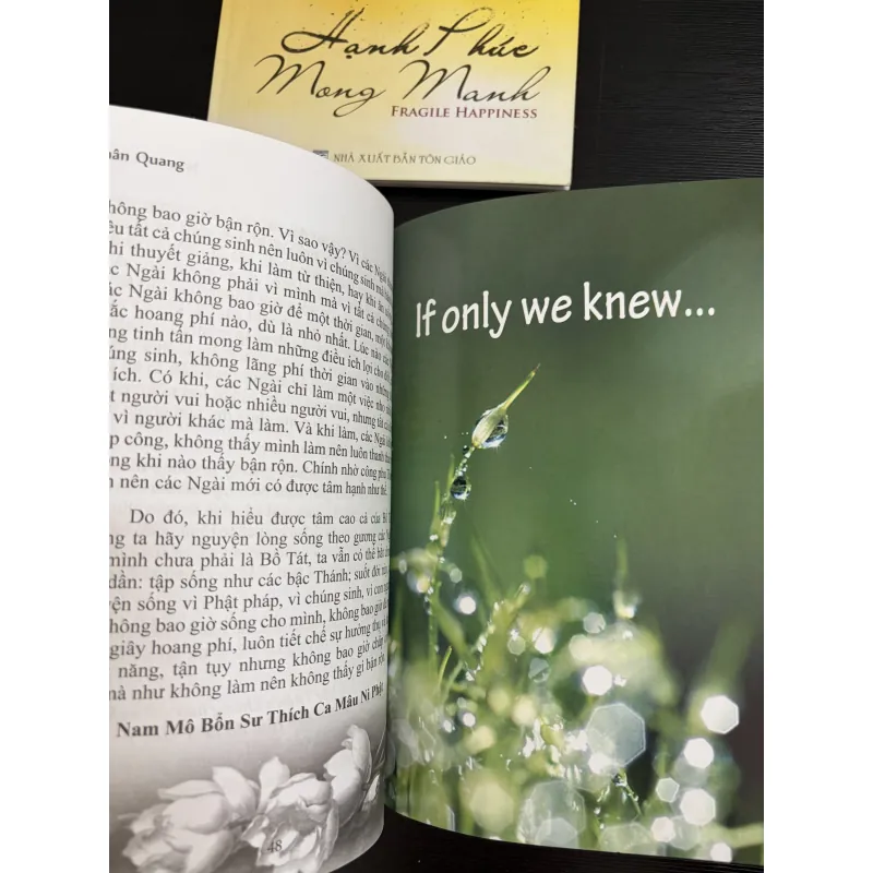 Combo 3 cuốn song ngữ: Hạnh Phúc Mong Manh-Sự Dao Động Của Tâm-Nếu Biết Rằng… 925576
