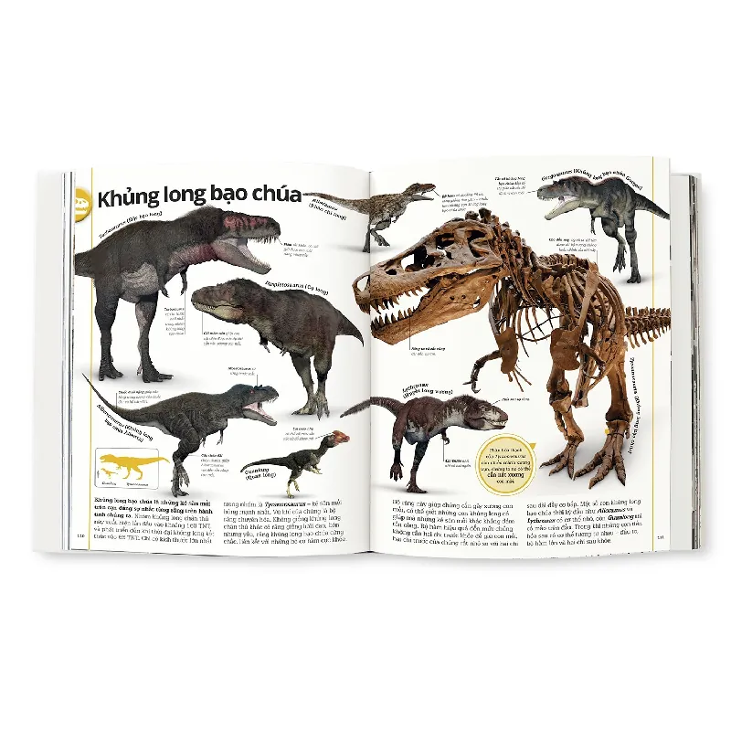 Khủng Long - DK 690114