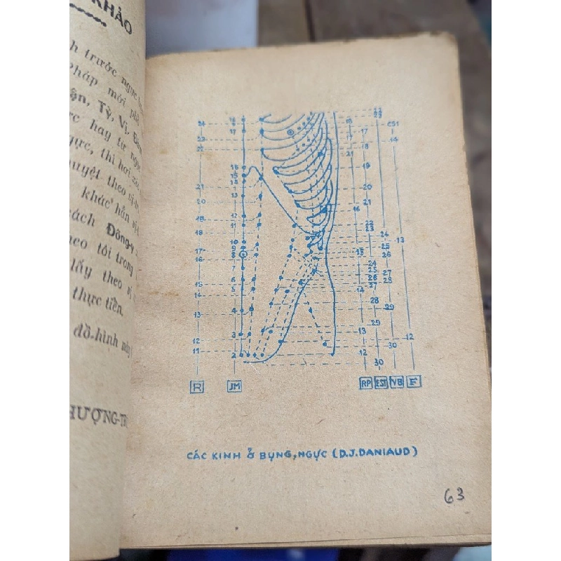 TIỂU TỪ ĐIỂN CHÂM CỨU KINH HUYỆT & BIỆT HUYỆT - THƯỢNG TRÚC 193506