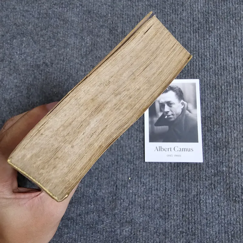 Victor Hugo bí ẩn cuộc đời - Andre Maurois 1029595