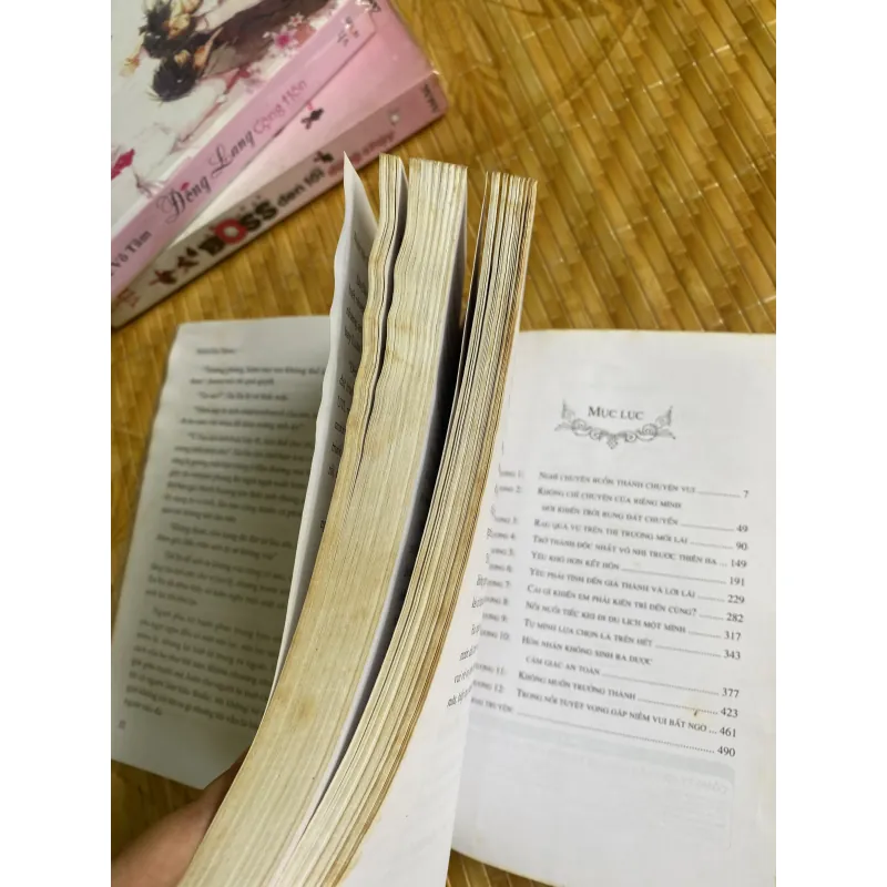 Nhật ký lấy chồng 974472