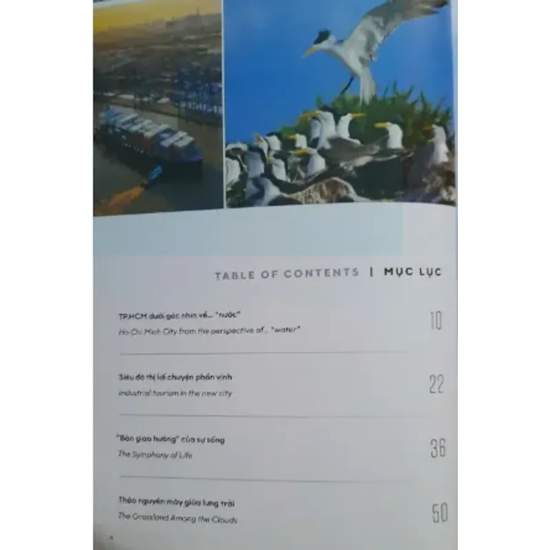 Tạp chí Du lịch, số 44 & 45, tháng 7 + 8/2025 (mới 100%) 528398