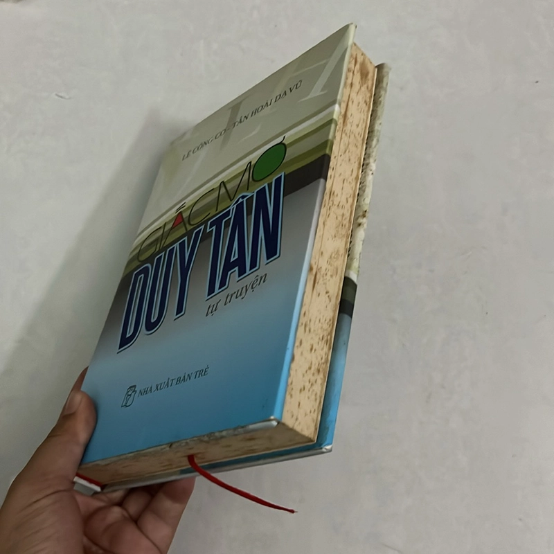 Giấc mơ Duy Tân (Bìa cứng) - Lê Công Cơ 504799