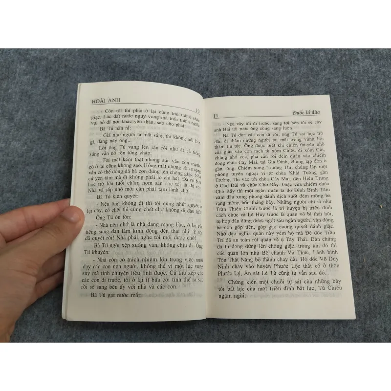 ĐUỐC LÁ DỪA - HOÀI ANH 567753