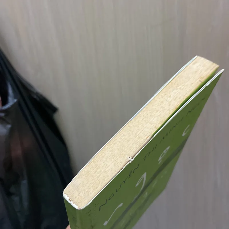 Ngọc của Sài Gòn - Nguyễn Thị Minh Ngọc 970293