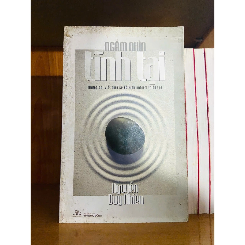 Ngắm nhìn tĩnh tại - Nguyễn Duy Nhiên 756556