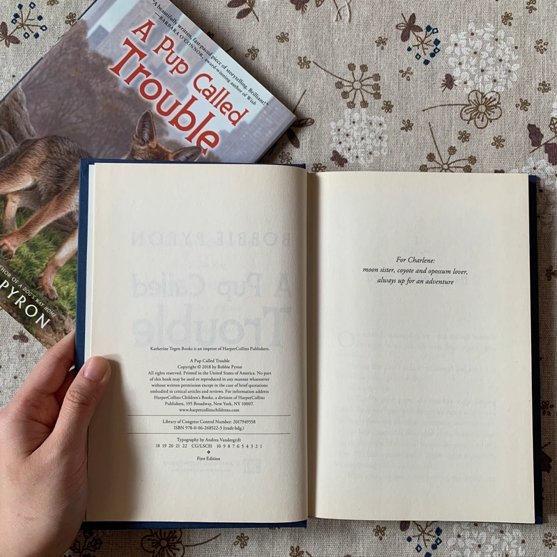Sách ngoại văn A Pup Called Trouble, Used, Bìa cứng, Fiction For Young Adult 446629