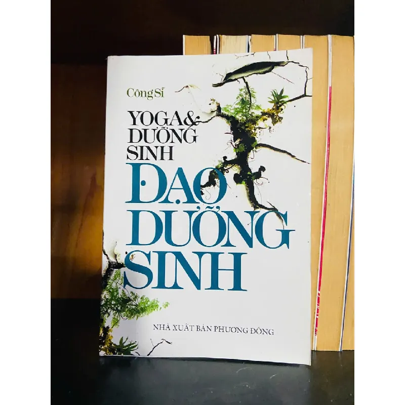 Đạo dưỡng sinh - Công Sĩ - TÂM LINH - TÔN GIÁO - THIỀN - VAVO1211 694204