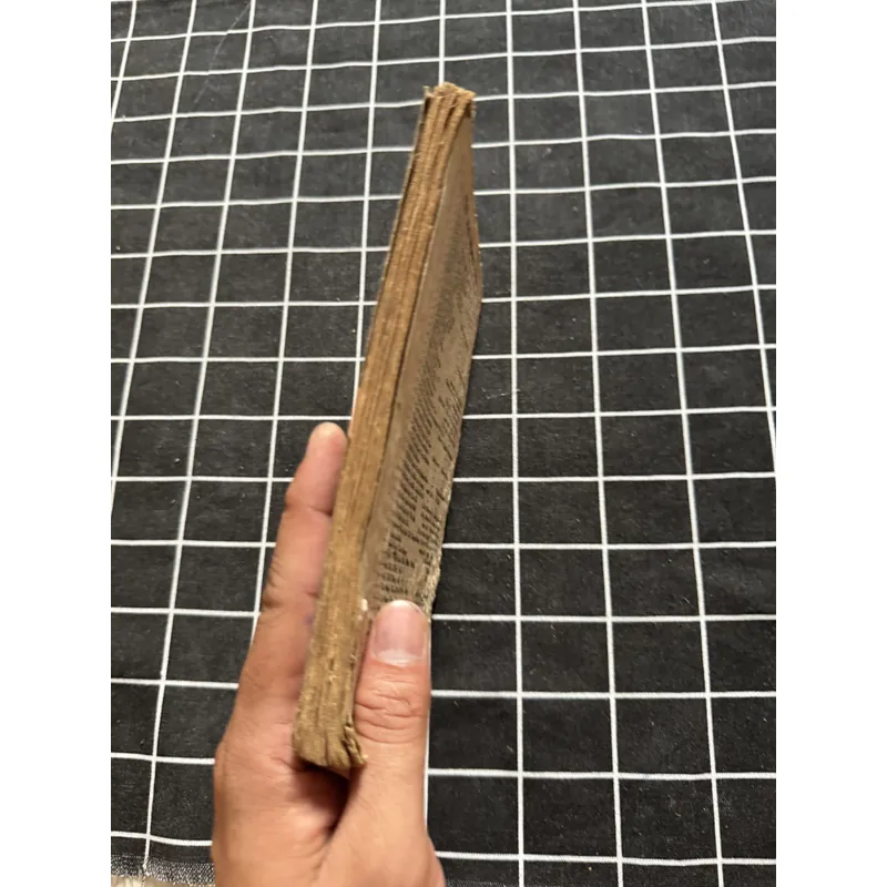 Cao ly đầu hình 592318