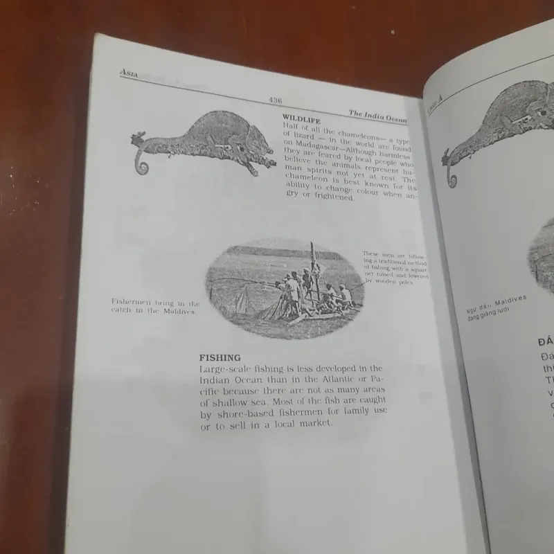 Tổng quan về địa hình, kinh tế, phong tục CHÂU Á (song ngữ Anh - Việt) 565338