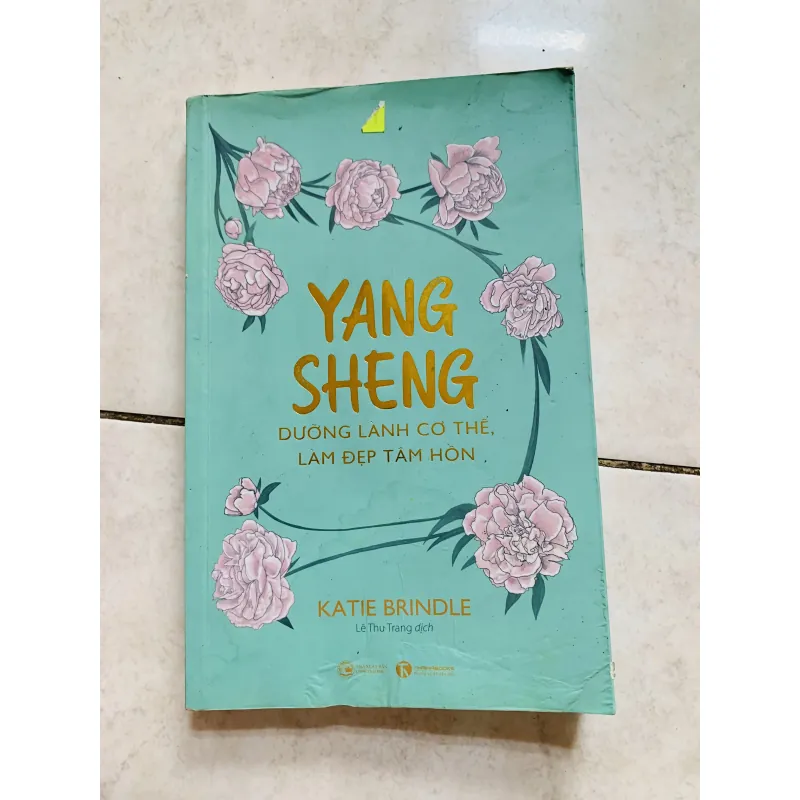 Yang Sheng Dưỡng lành cơ thể - Làm đẹp tâm hồn  800582