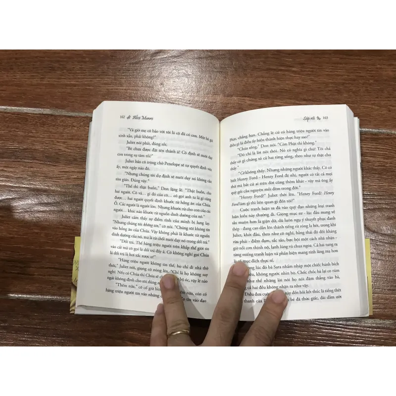 Trốn chạy - Alice Munro (6) 781619