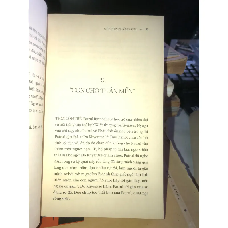 Sư tử tuyết bờm xanh - Surya Das 1021747