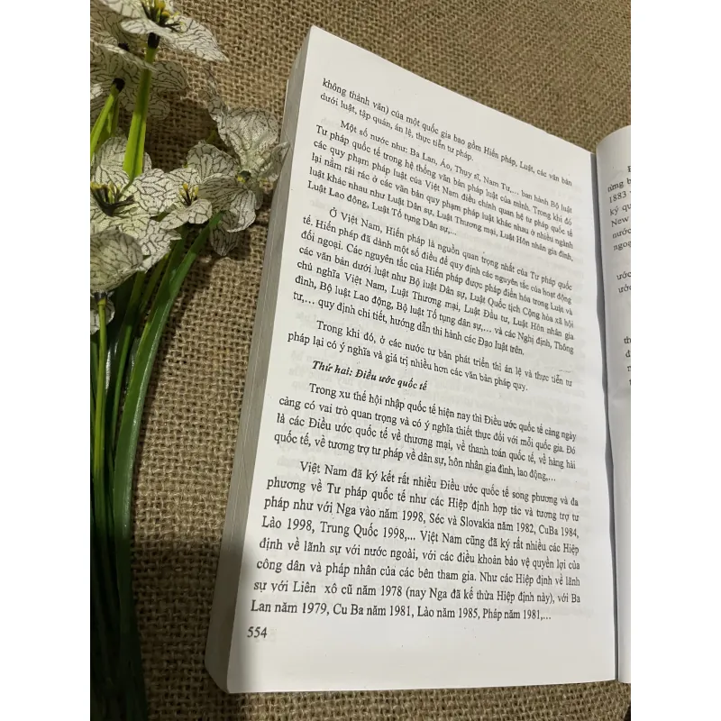 Giống trình đại cương nhà nước và pháp , 500 trang  797688