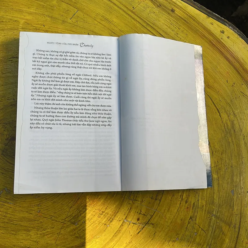 NGƯỜI TÌNH CỦA PHU NHÂN CHATTERLEY- (2)D.H. LAWRENCE 571911