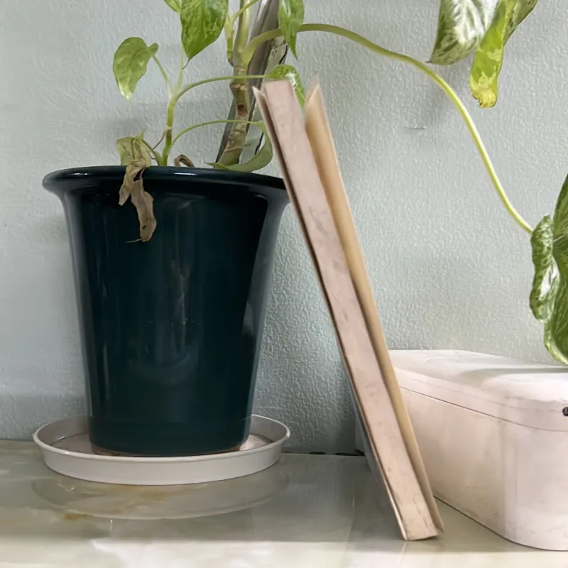 Tiếng gọi nơi hoang dã 746443