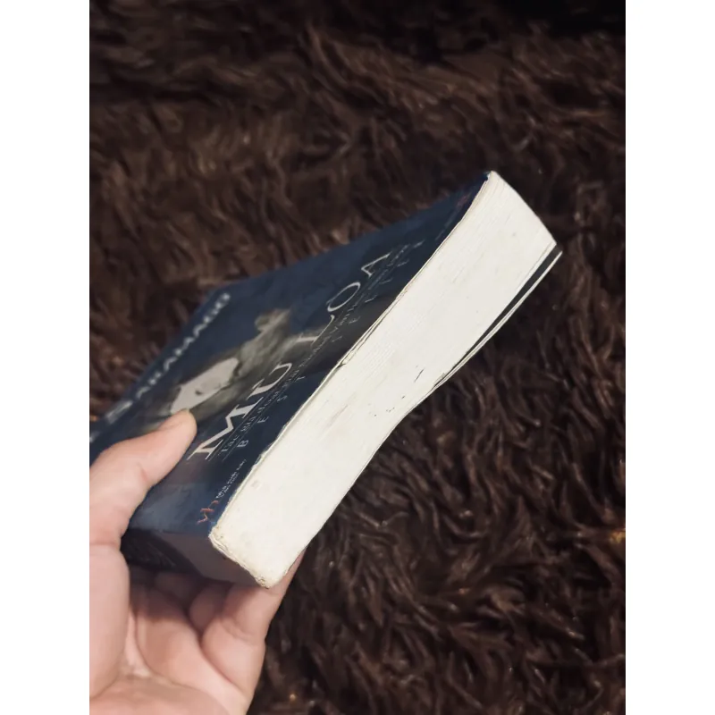 Mùa loà - Jose Saramago 933849